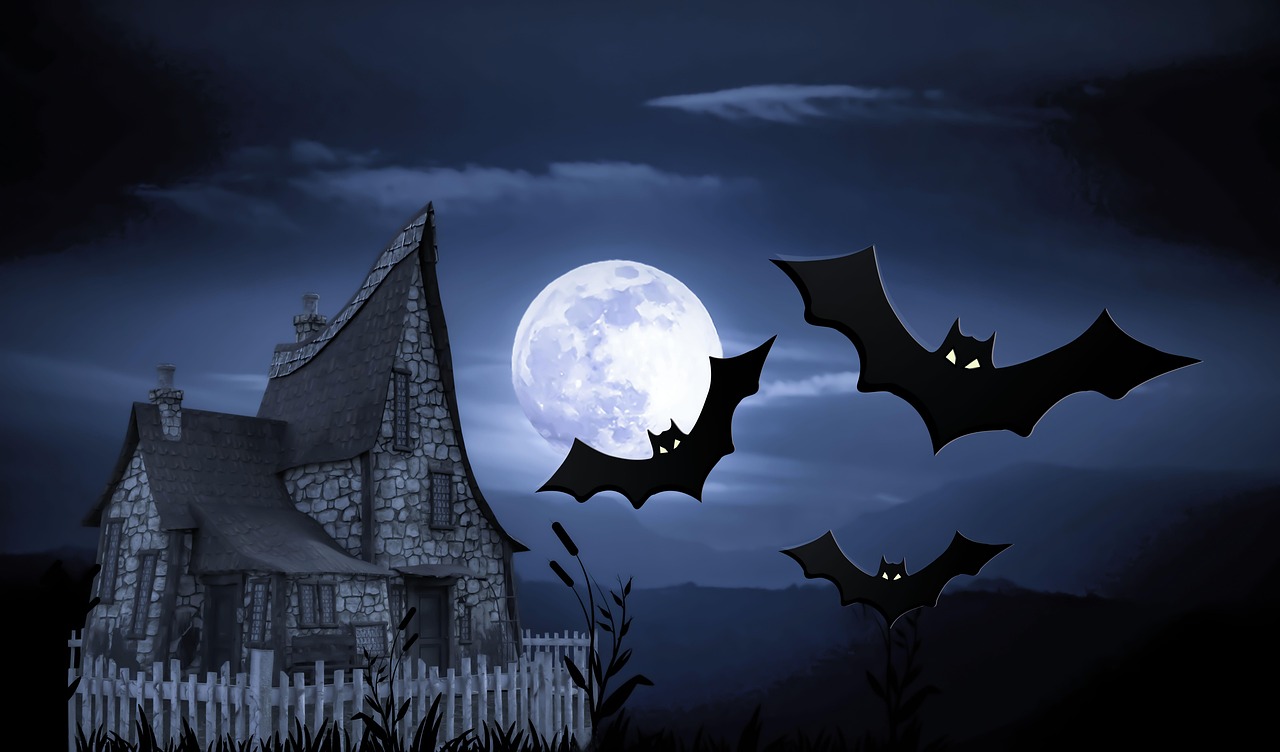 halloween, cas, enchantée, horreur, partie décédée, fête, fantaisie, lune, chéri, chauve souris, vampire, nuit, réfrigération, octobre, fantôme, sombre, halloween, halloween, halloween, halloween, halloween