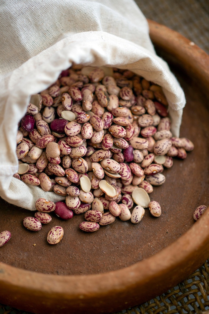 haricots, haricot rouge, mulet, aliments, des légumes, récolter, nutrition, biologique