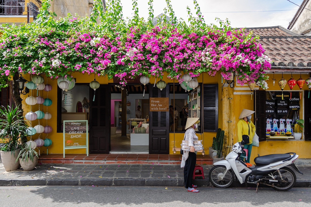 hoi un, gens, magasin, rue, l'unesco, historique, asie du sud est, vietnam