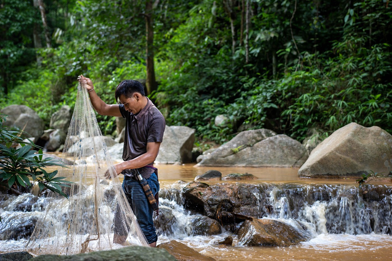 homme, faire de la pêche, rapporter, fleuve, ruisseau, rochers, nature, voyager
