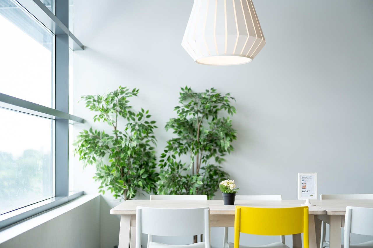 ikea, table, à manger, chaise, lampe, nature, plantes, naturel, mode de vie, vie, habitent, pièce, le restaurant, facile, blanche