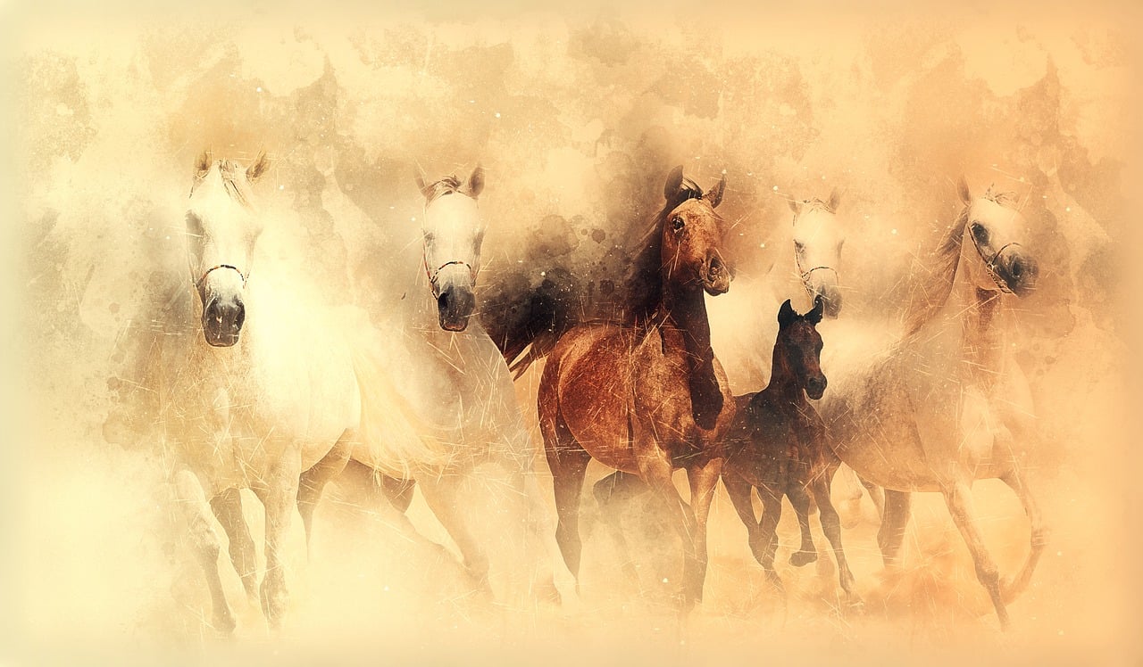 les chevaux, fonctionnement, mammifère, nature, animal, troupeau, scénique, manipulation numérique, la peinture, art photographique, orange nature, orange animaux, orange art, orange cheval, orange running, orange digital, orange peinture, orange exécuter, de la peinture orange, orange naturel