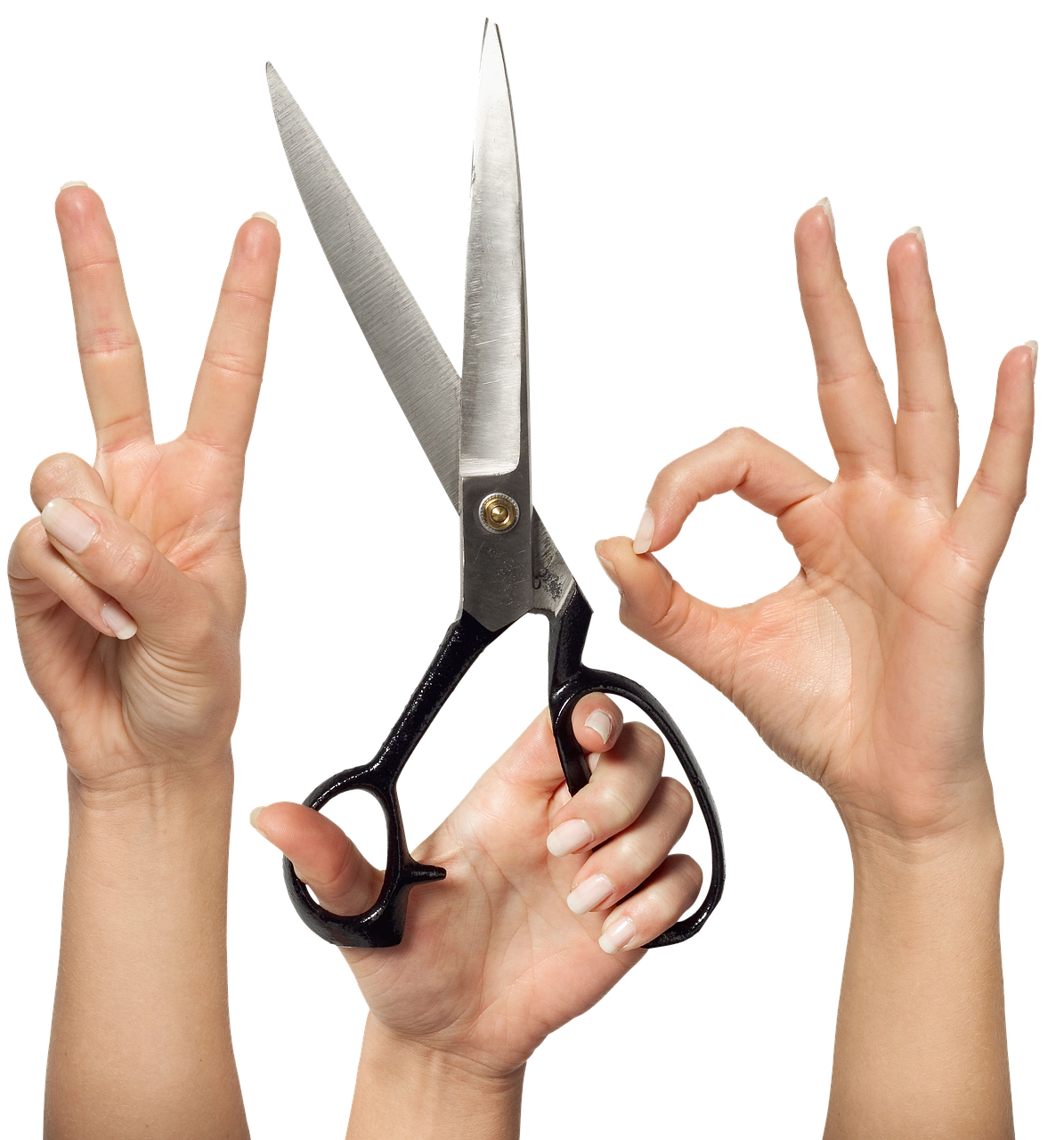 mains, doigts, paume, geste, les salutations, la victoire, ok, les ciseaux, un, les ciseaux, les ciseaux, les ciseaux, les ciseaux, les ciseaux