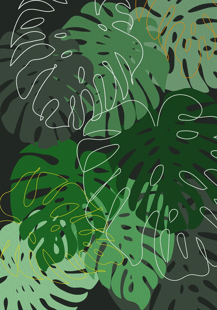 monstère, feuilles, les plantes, l'été, contexte, dessin, nature, botanique, feuille, facile, minimaliste