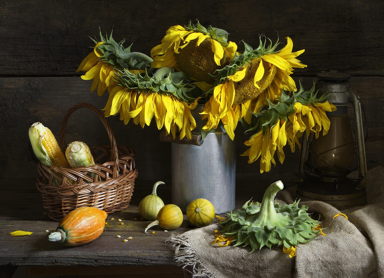nature morte, tournesols, flower background, bouquet, fleurs, belles fleurs, vase, corbeille, lampe, fond d'écran fleur, lanterne, cors, nature, composition
