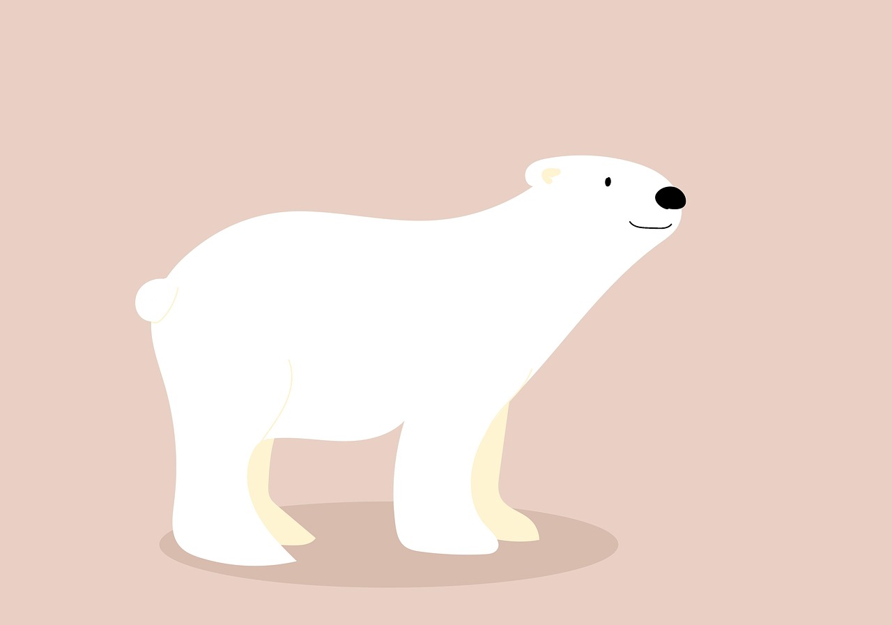 ours, ours polaire, dessin, du froid, la glace, nature, contexte