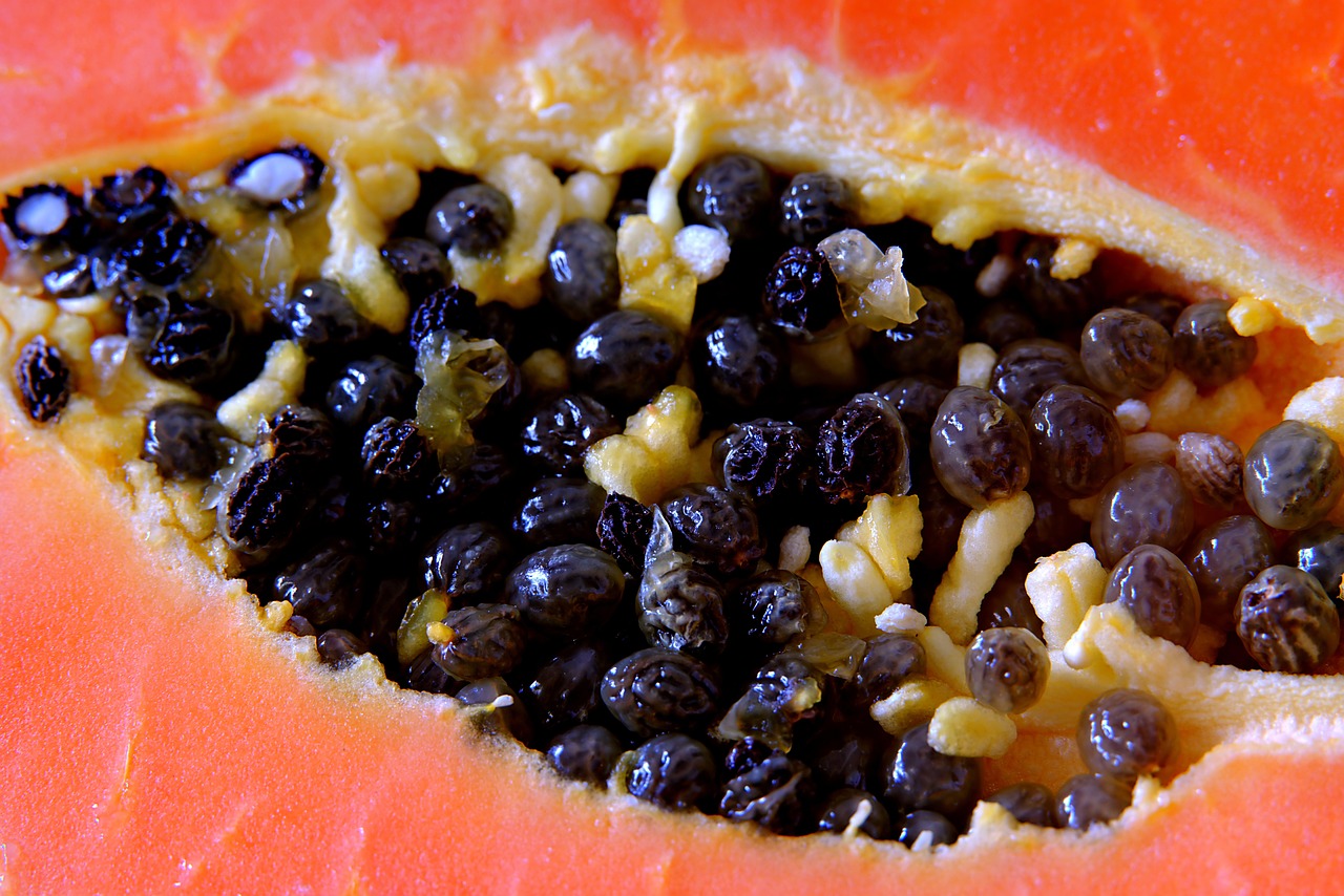 papaye, des graines, fruit, mûr, frais