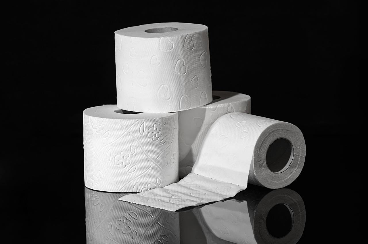 papier toilette, hygiène, papier hygiénique, rôle, toilettes, rouleau de papier, rouleau, papier toilette, papier toilette, papier toilette, papier toilette, papier toilette, toilettes, toilettes