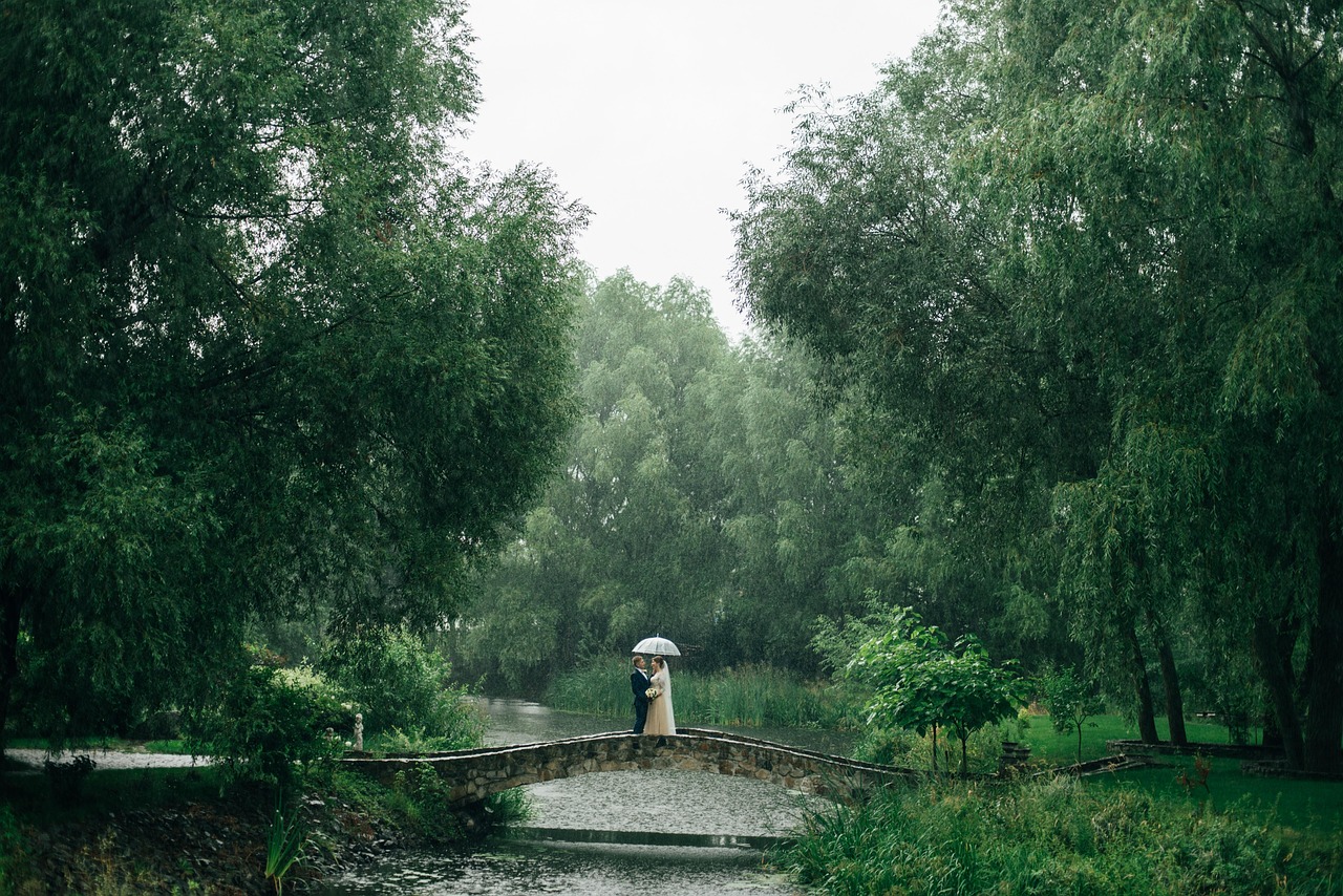 parc, pluie, mariage, coupler, jour de mariage, nature, photographie de mariage, il pleut, des arbres, forêt, paysage, pluie, pluie, pluie, mariage, mariage, mariage, mariage, mariage, nature