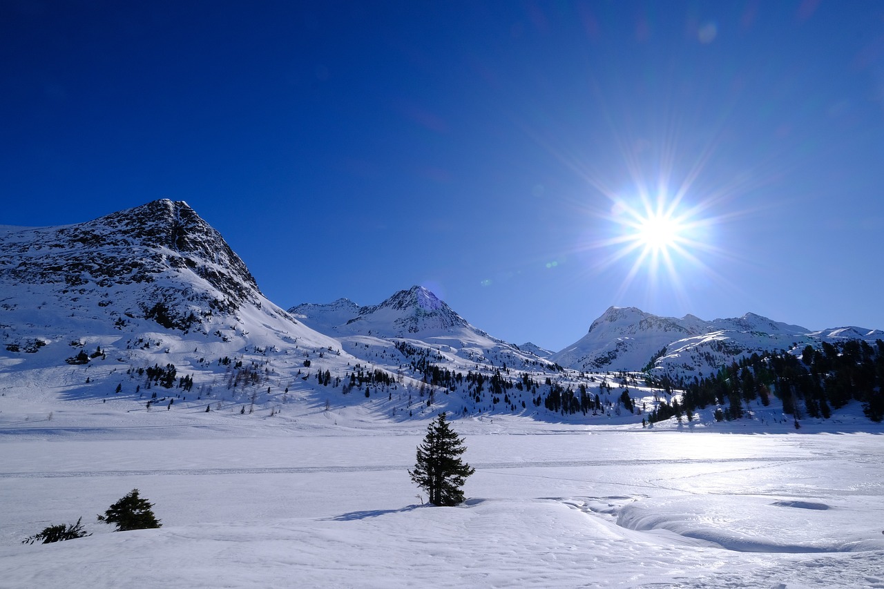 paysage, neigeux, montagnes, nature, zirbenkiefer, neige, defreggental, écuyer pass, écuyer selle