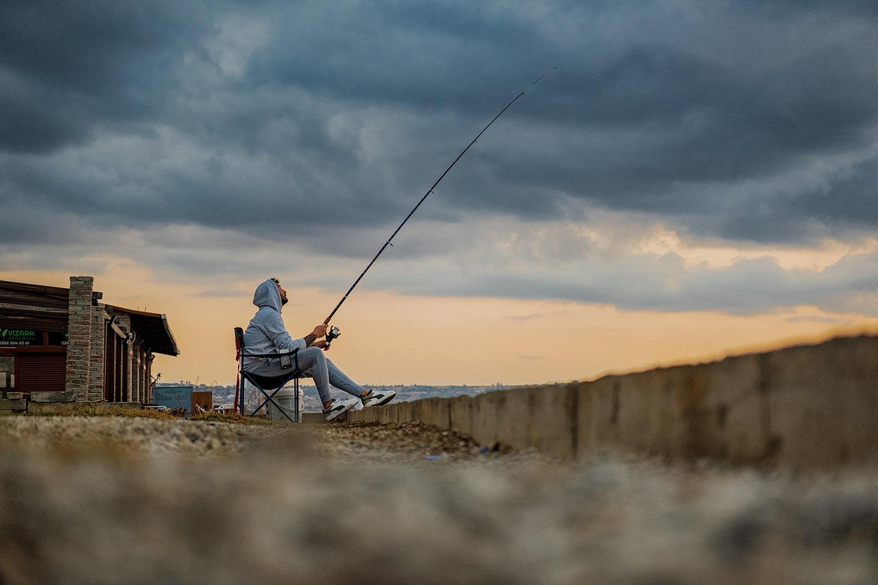 pêcheur, mer, poisson, ciel, nuageux, côte, nature, paysage, faire de la pêche