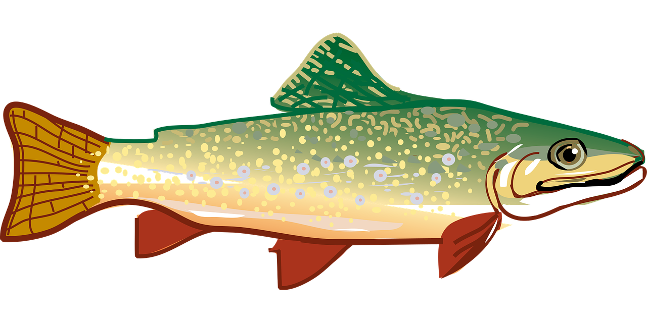 truite, poisson, truite arc en ciel, nature, animal, icône, les poissons icône, icône de truite, découper, art numérique, oeuvre numérique