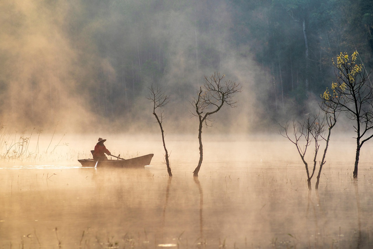 vietnam, faire de la pêche, pêcheur, brouillard, brume, nature, paysage, l'eau, lac, fleuve