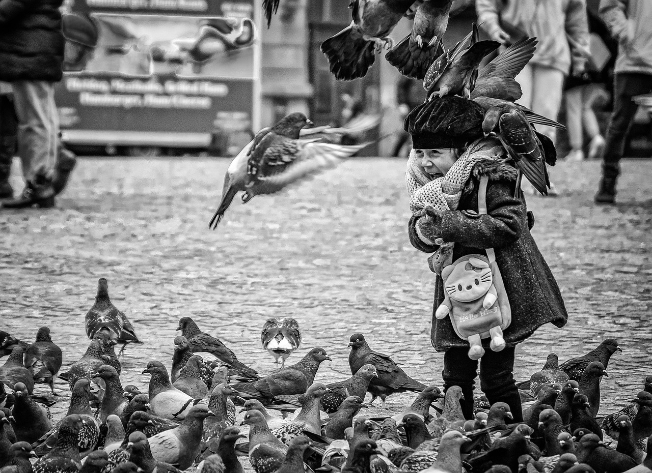amsterdam, la place du dam, enfant, pigeons, colombes, noir et blanc, amsterdam, amsterdam, amsterdam, enfant, enfant, pigeons, pigeons, pigeons, pigeons, pigeons, noir et blanc