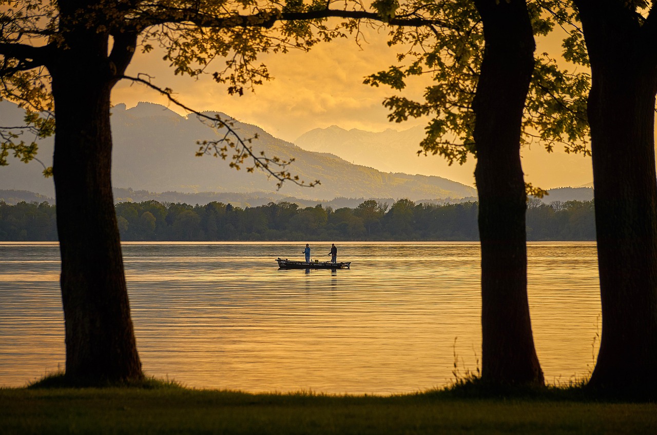 bateau, lac, des arbres, barque, le coucher du soleil, l'eau, nature, veille, léger, paysage, faire de la pêche, idylle, chiemsee, bavière, chiemgau, barque, barque, barque, barque, barque