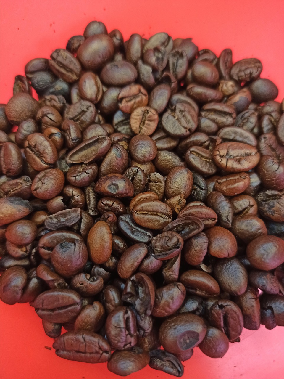 café, koffee, quinn café, café de la vidéo, quinn xcii café, quinn café de la vidéo, café lam, quinn xcii café de la vidéo, meilleur café, un bon café, koffee vivre, koffee 2018, faire le café, café du commerce, café beats, café de la musique, koffee toast, koffee 1xtra, comment le café, café hacks, recette de café, koffee paroles, faire du café