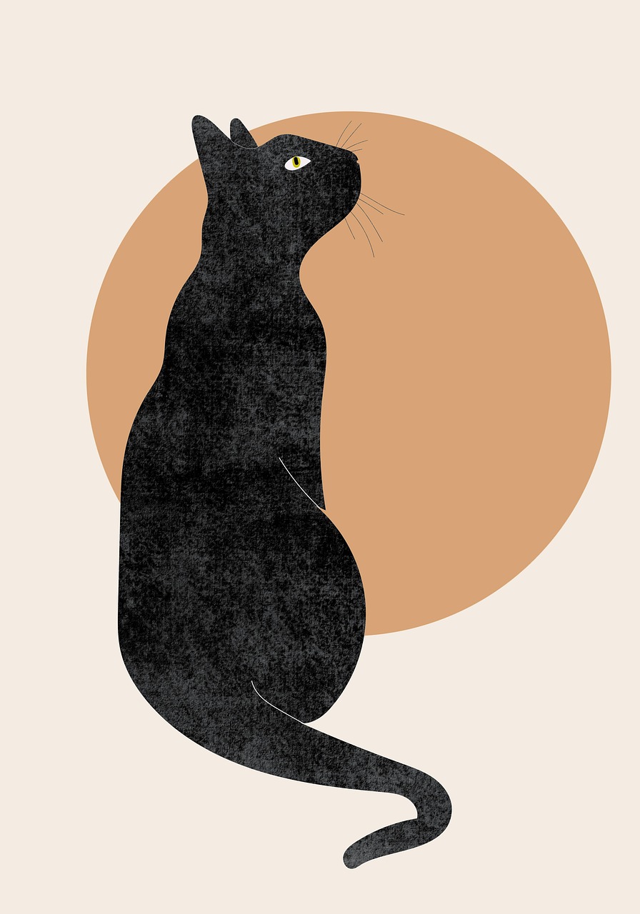 cat, cercle, animal, animal de compagnie, affiche, conception, dessin, contexte, minimaliste, facile