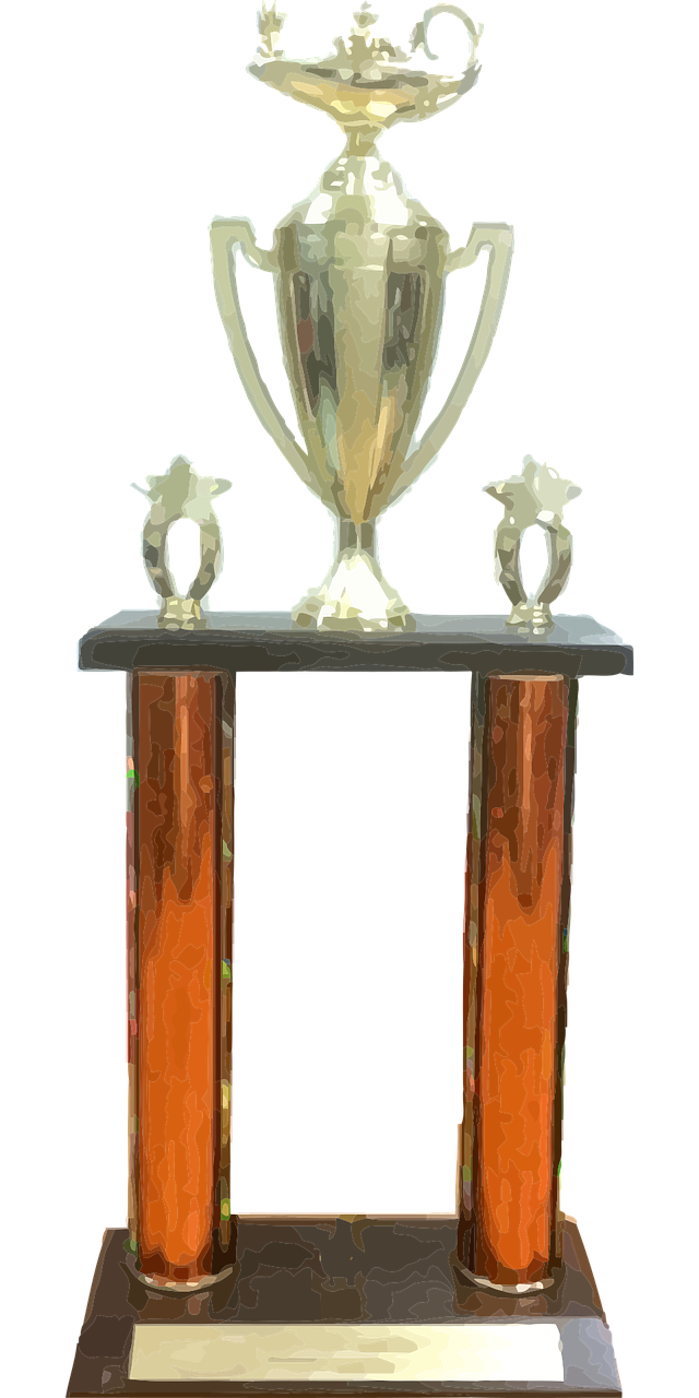 challenge quotidien, brillant, trophée