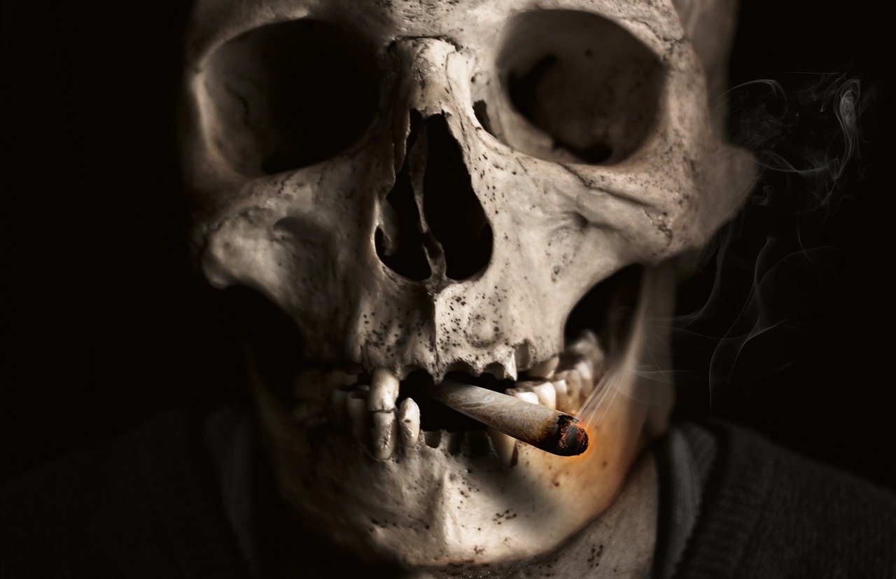 crâne, os, fumeur, cigarette, fumée, mauvais pour la santé, cigare, dépendance, cancer du poumon, le tabac, fatal, visage, homme, concept, idée