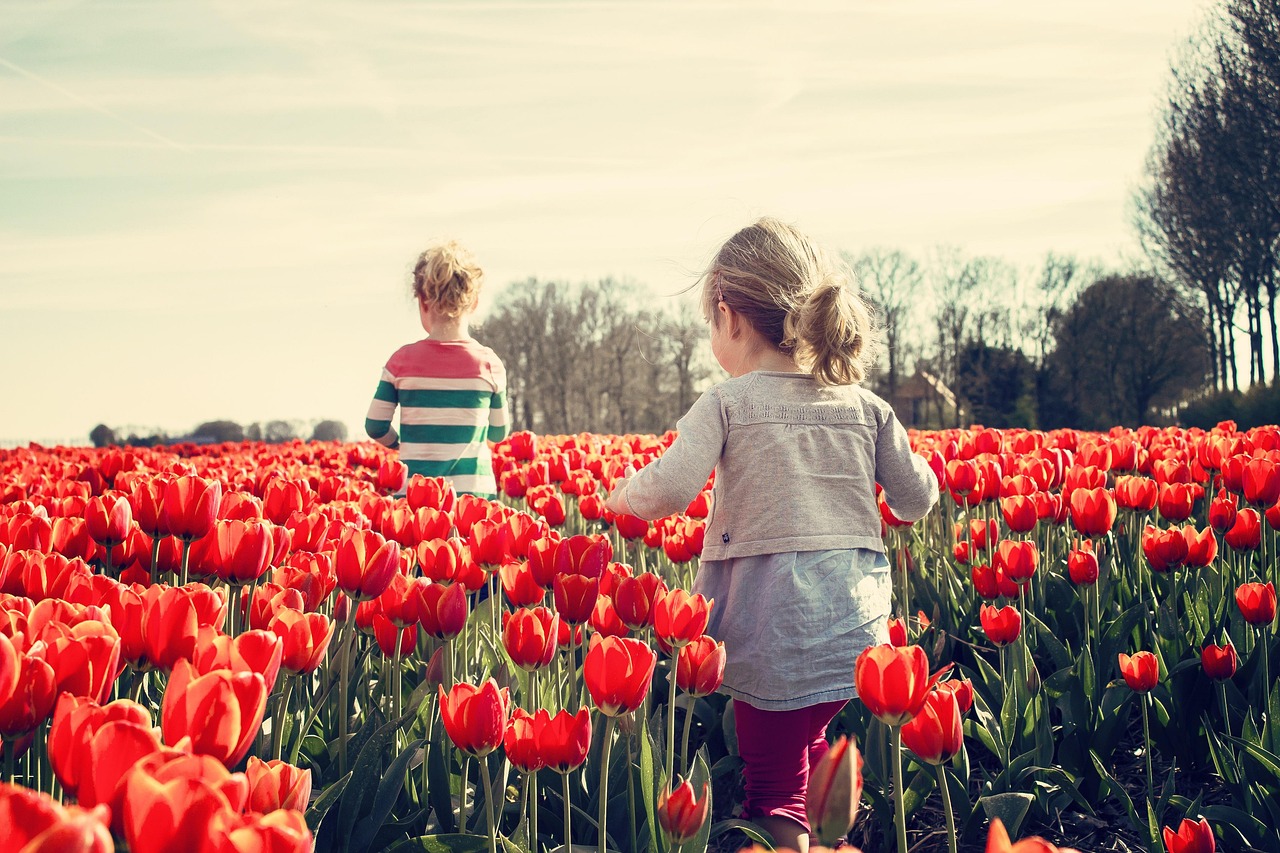 filles, enfants, tulipes, flower background, tulipes rouges, jardin de tulipes, fond d'écran fleur, pays-bas, le printemps, nature, hollande, belles fleurs, bloom, les plantes, fleurs, jardin, fleurir, champ de tulipes, sœurs