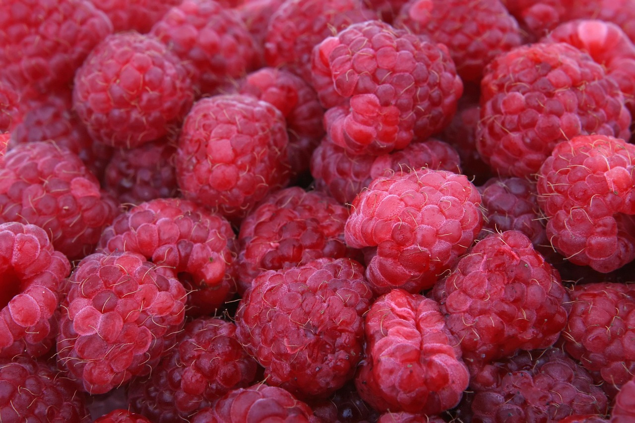 framboises, rouge, des fruits, baies, frais, mûr, framboises fraîches, framboises mûres, produire, biologique, récolter, produits frais, fermer, délicieux, régime, aliments, nutrition, de fruits de saison
