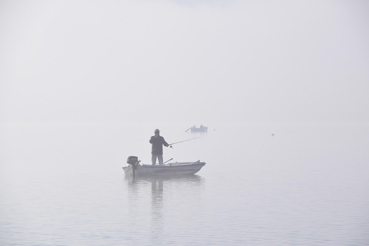 lac, faire de la pêche, nature, brouillard, brumeux, brume, pêcheur, bateau, hazy, l'eau, noir et blanc, monochrome