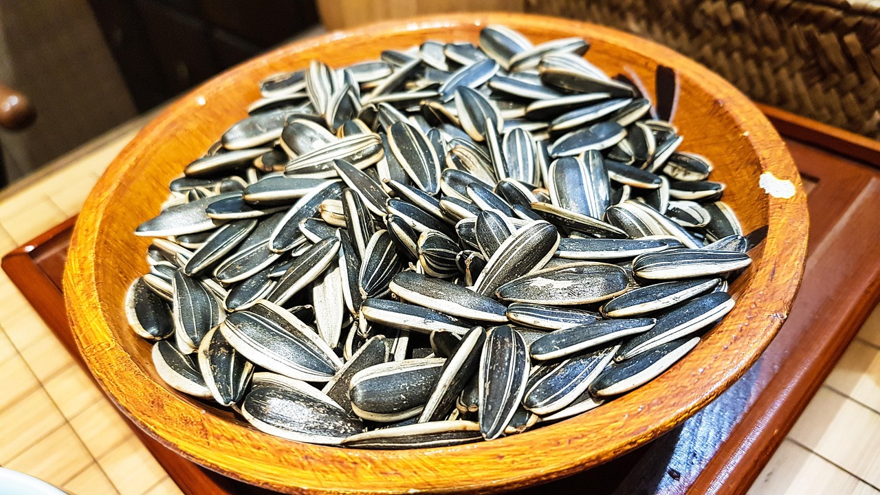 la graine de tournesol, de la graine, nature, tournesol, la graine, plante, chine