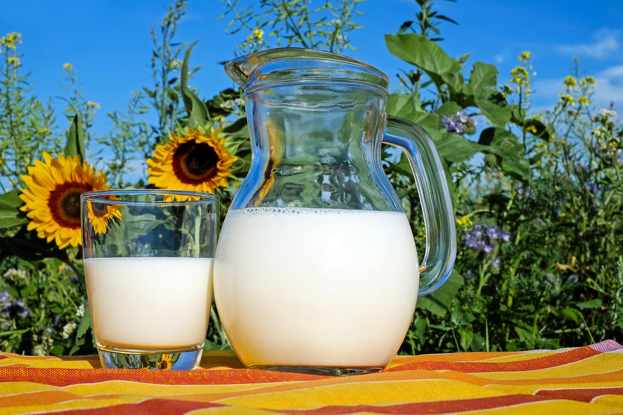 le lait, verre, lanceur, frais, lait frais, boire, boisson, laitier, produits laitiers, pichet en verre, en bonne santé, délicieux, vitamines, liquide, lait de vache, protéine, nutrition, laitier, produits laitiers, produits laitiers, produits laitiers, produits laitiers, produits laitiers
