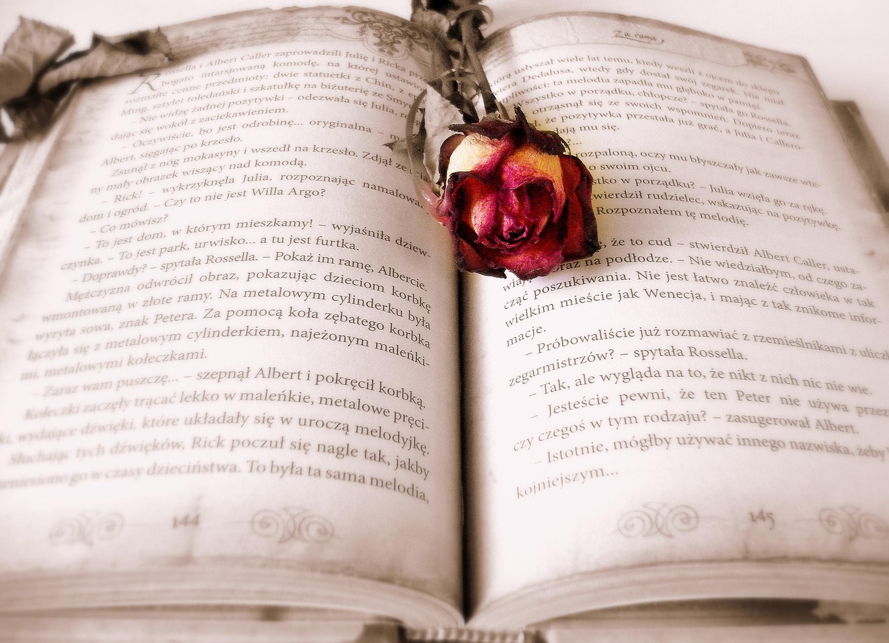 livre, rose, signet, livre ouvert, pages, une rose, chapitre, roman, lis, littérature, en train de lire, bookworm