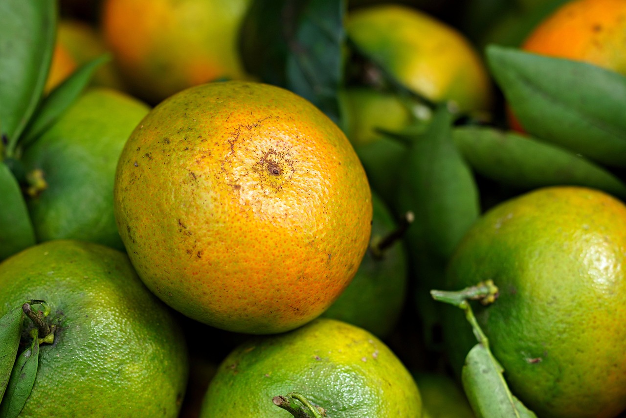 mandarine, agrumes, fruit, en bonne santé, biologique, frais