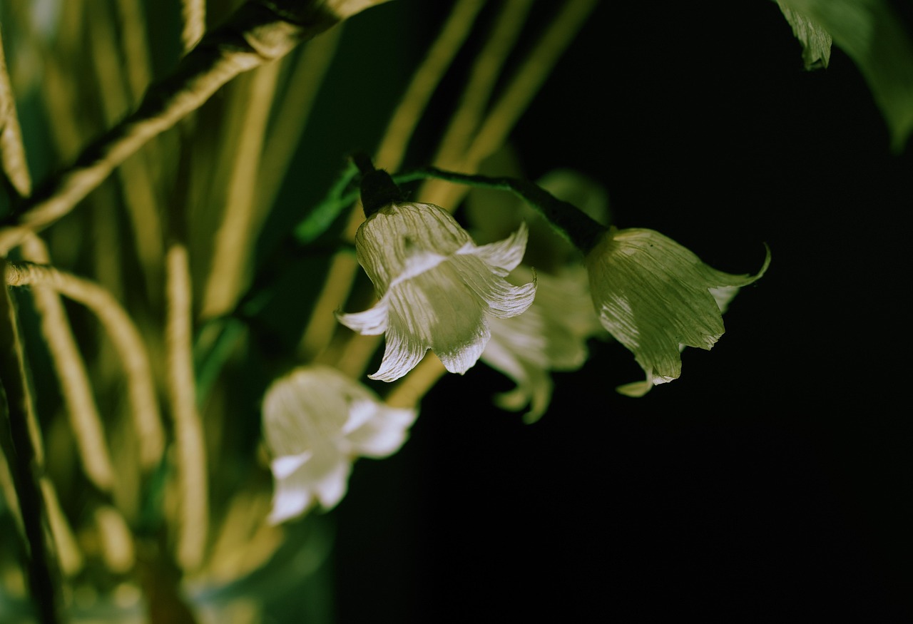 muguet, fleurs de papier, fleurs blanches, convallaria majalis, fait main, fermer, muguet, muguet, muguet, muguet, muguet