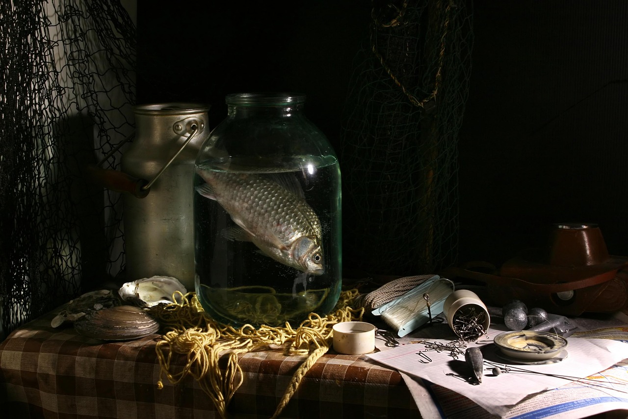 nature morte avec des poissons, faire de la pêche, prise, carassin, pot, coquillages, s'attaquer à, nature, accrocher, le réseau, réseau, seine, eau, bidon, lumière, ombre, vacances, pêcheur