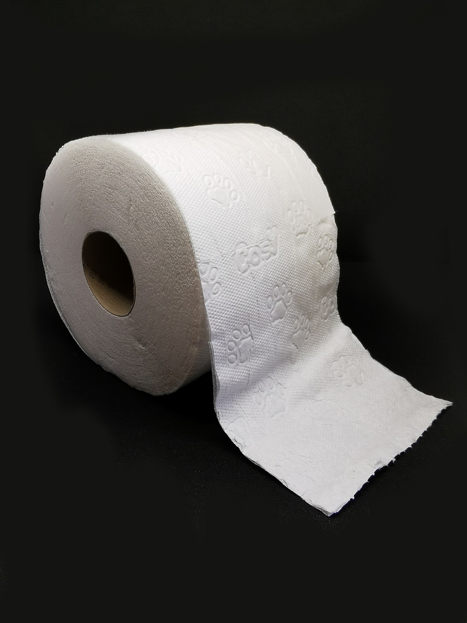 papier hygiénique, papier toilette, toilette, hygiène, rôle, toilettes, papier, rouleau de papier