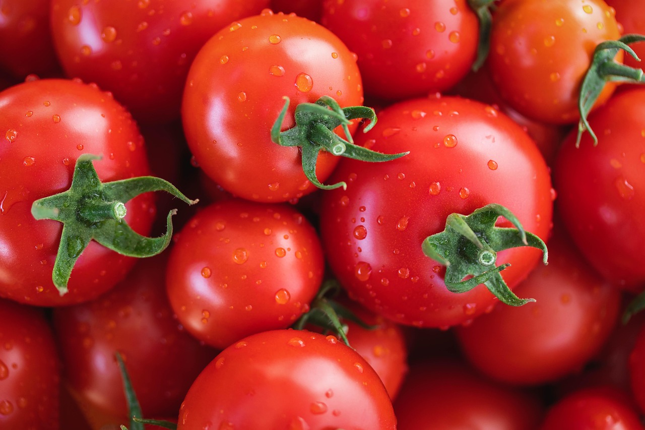 tomates, des légumes, tomates fraîches, en bonne santé, nourriture, teindre, concours de couleurs, tomates, tomates, tomates, tomates, nourriture, nourriture, nourriture, nourriture, nourriture