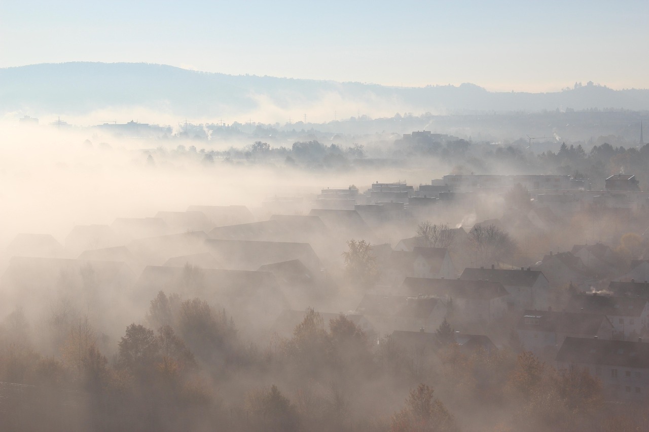 tombe, brouillard, léger, nature, stuttgart, bade-wurtemberg, outlook, paysage