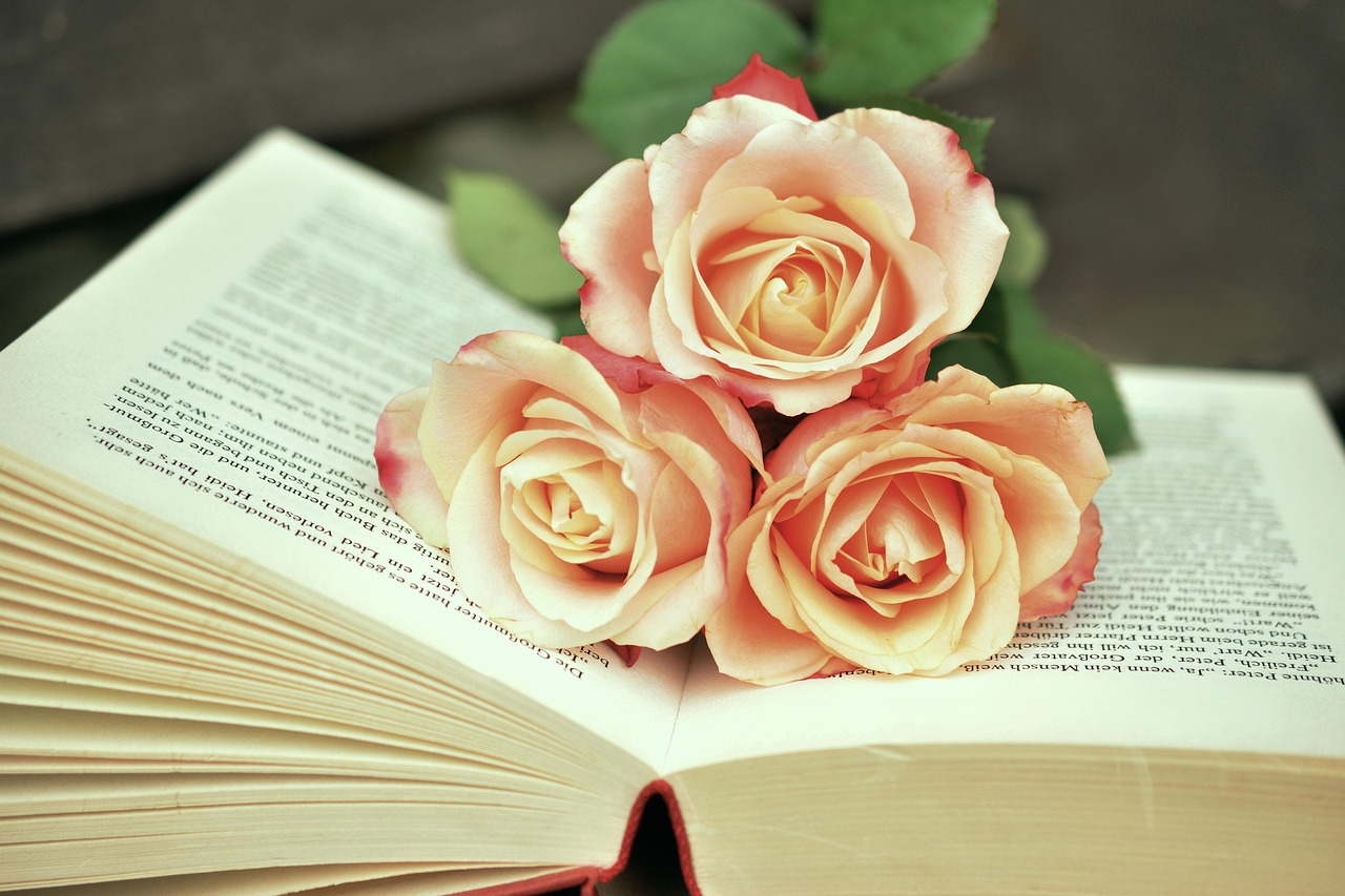 un livre, pages de livre, lis, des roses, romantique, littérature, pages, papier, faire défiler, livres, livres, livres, livres, livres, livres