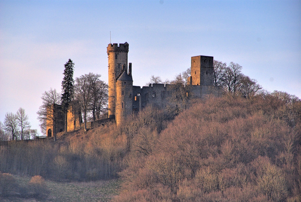 wolf park, kasselburg, pelm, eifel, château