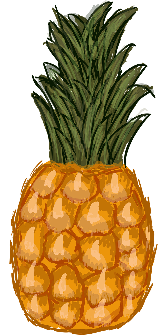 ananas, dessinés à la main, fruit exotique, fruit, illustrateur, esquisser, comestible, ananas comosus, sucré, juteux, ananas, ananas, ananas, ananas, ananas