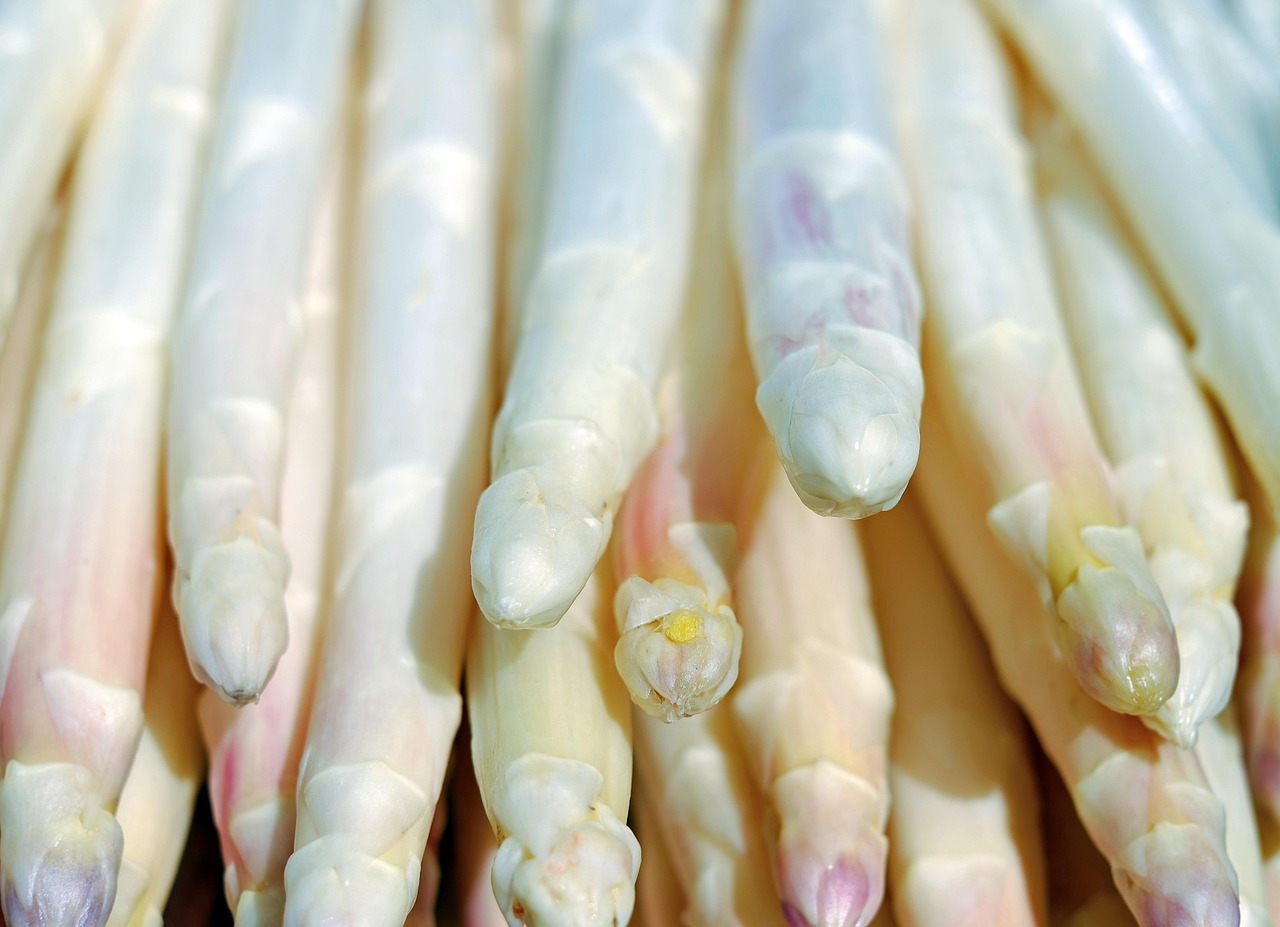 asperges, blanche, asperges blanches, des légumes, tiges, fermer, récolter, produire, biologique, produits frais, frais, aliments, nutrition, cru, les légumes crus, asperges, asperges, asperges, asperges, asperges, asperges blanches