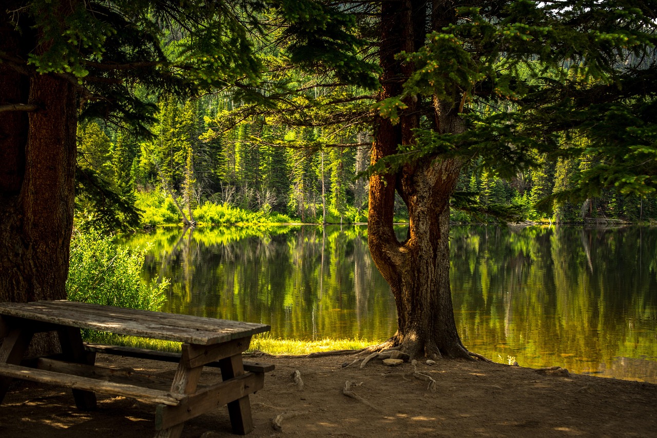 banc, lac, parc, zone récréative, paysage, des arbres, nature, les bois, forêt, en plein air, l'eau, scénique, banc en bois, table de pique-nique