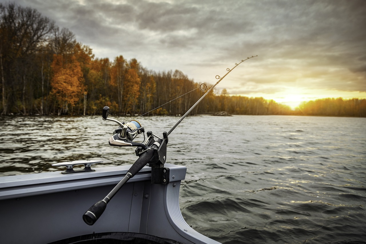 bateau de pêche, canne à pêche, faire de la pêche, lac, loisir, bateau, forêt, les bois, nature, l'eau, fleuve, le coucher du soleil, en plein air, skyscape, des arbres, loisir, loisir, loisir, loisir, loisir
