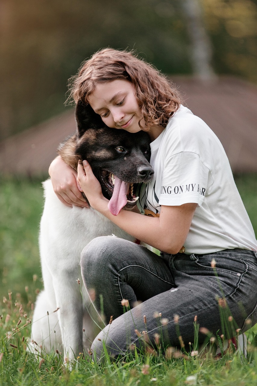 chien, fille, amour, nature, animal de compagnie, propriétaire, un compagnon, copains, relation amicale, content, animal, akita, portrait, propriétaire d'animal domestique