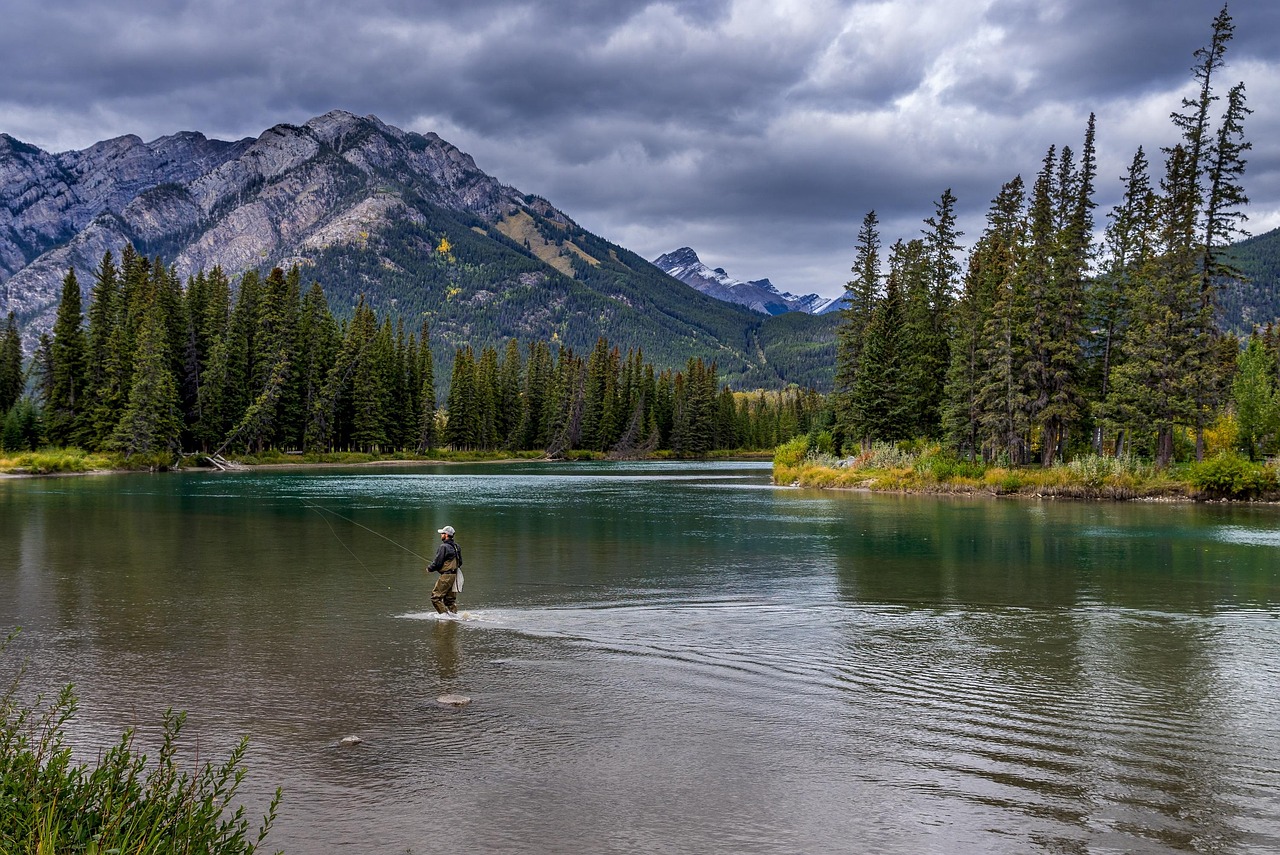 fleuve, faire de la pêche, montagnes, pêcheur, homme, l'eau, des arbres, nuageux, parc national, montagnes rocheuses, chaîne de montagnes, scénique, nature, rivière arc, parc national banff, banff, alberta, canada, canada, canada, canada, canada, canada