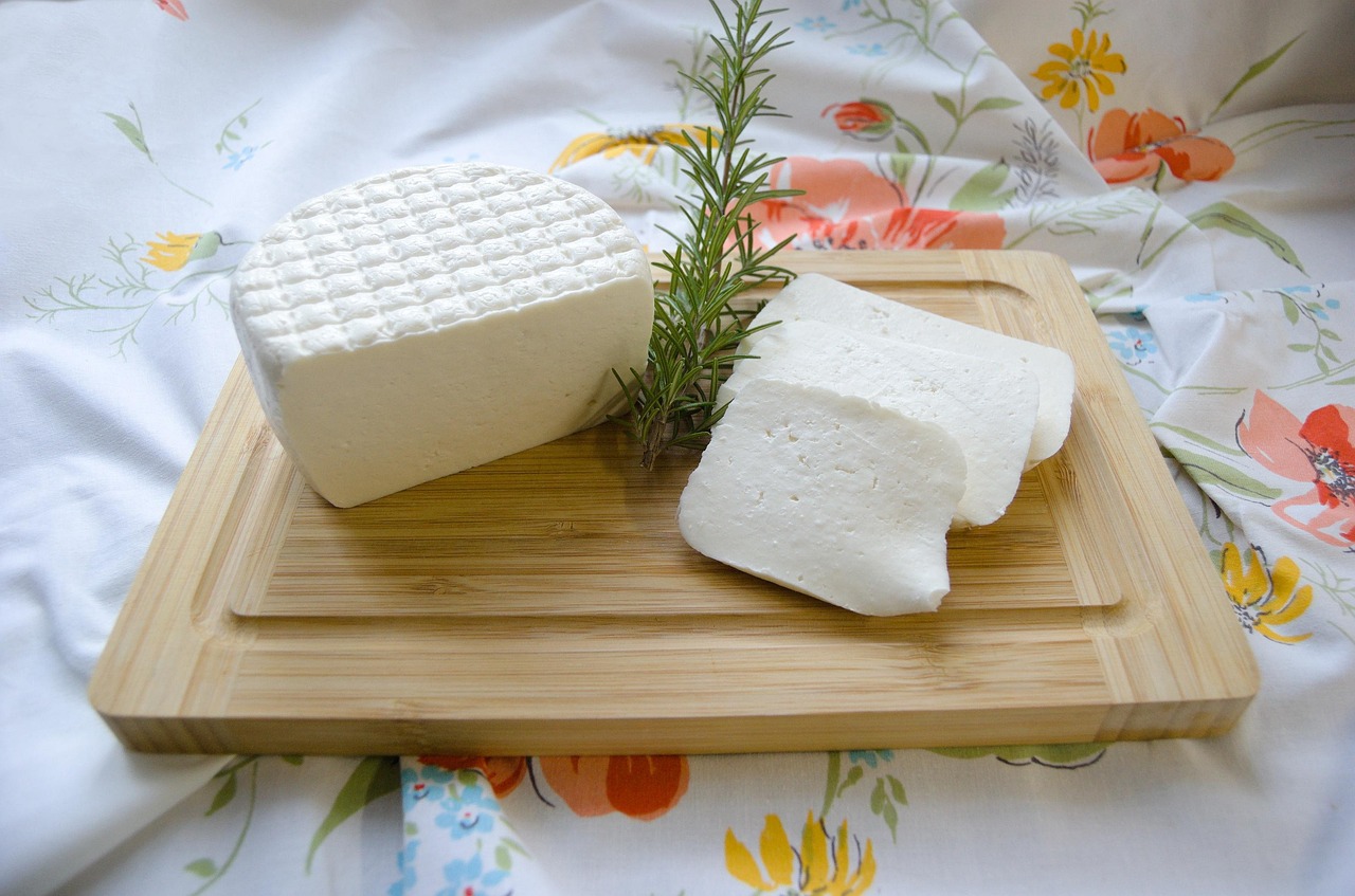 fromage, aliments, présure, fait main, laitier, fromage fait maison