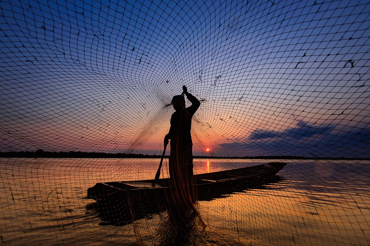 homme, filet de pêche, lac, le coucher du soleil, lumière du soleil, silhouette, faire de la pêche, tradition, culture, vie à la campagne, mode de vie, fleuve, l'eau, nature, crépuscule, soirée