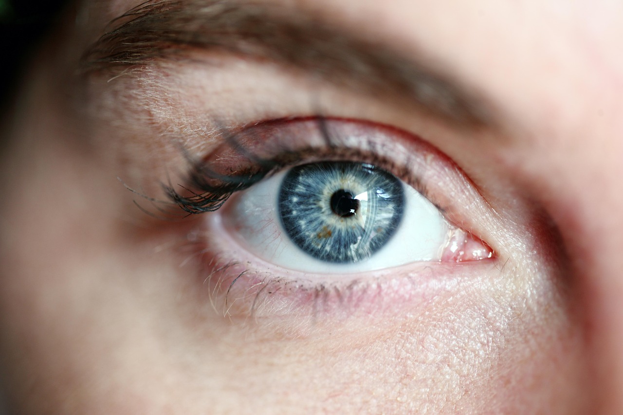œil, oeil bleu, femme, cils, portrait, peau, fille, vision, vue, cil, globe oculaire, voir, oeil bleu, oeil bleu, oeil bleu, oeil bleu, oeil bleu, cils, cils, cils, peau, peau, vision, vision, vision, cil, voir, voir