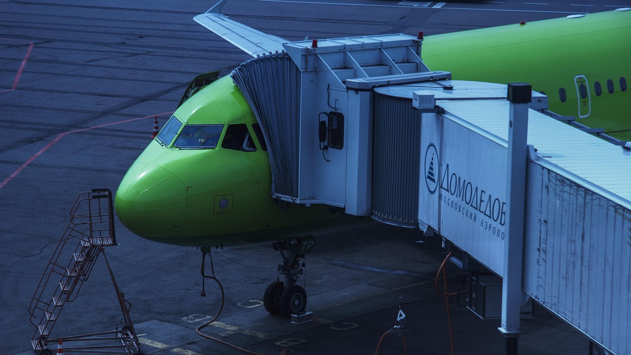 l'aéroport, domodedovo, compagnie aérienne s7, compagnies aériennes s7, moscou, russie, avion, compagnie aérienne, vert, multicolore, fermer, lumineux, l'été, avion vert, siberia airlines, airbus, un seul monde, nature, boeing 737-800, airbus a319-100, grand