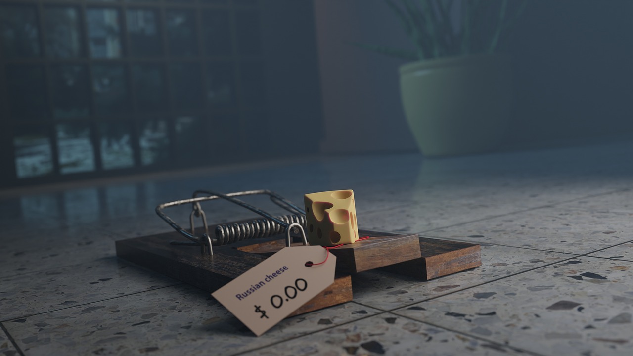 la souricière, fromage, outil, dispositif, étiqueter, prendre au piège, piéger, le fromage, piege a souris, fromage gratuit