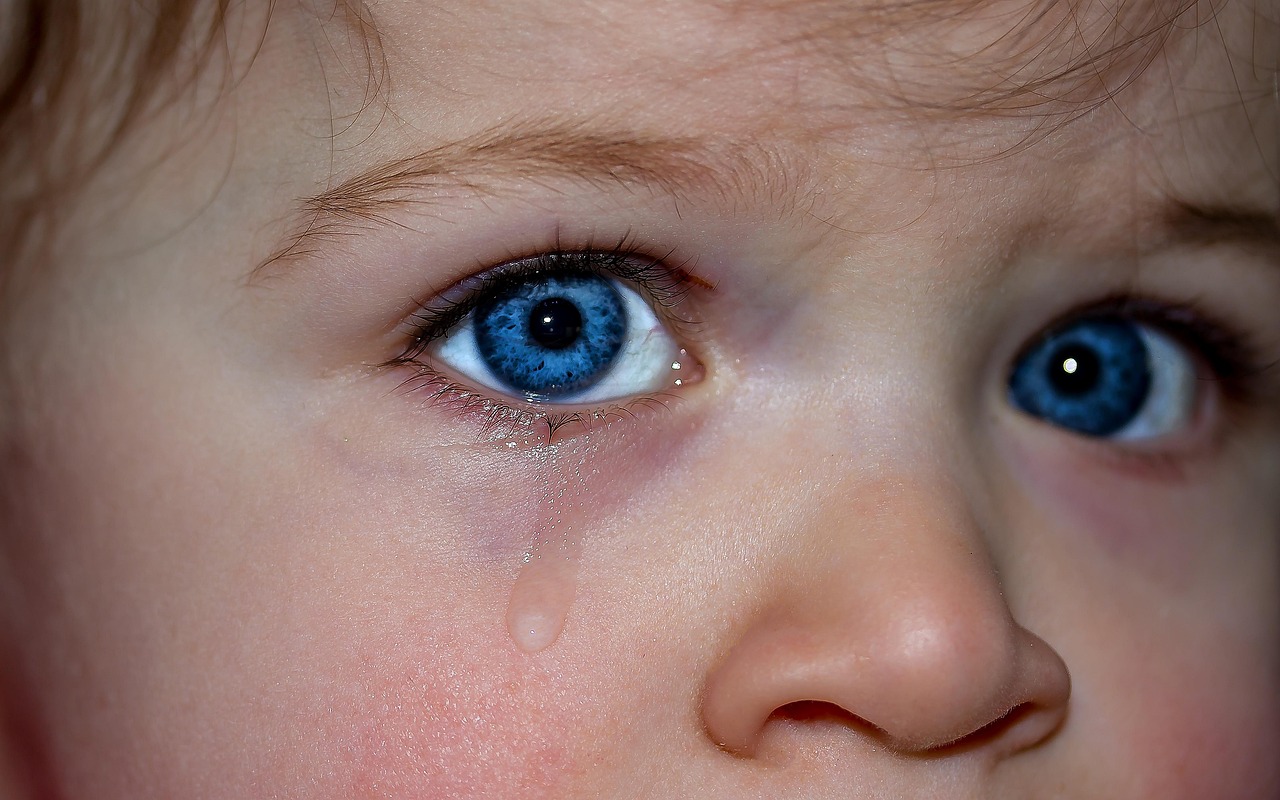 les yeux des enfants, les yeux, yeux bleus, emotion, sentiments, expression, petit enfant, tristesse, pleurer, triste, cils, sourcils, tristesse, tristesse, tristesse, tristesse, tristesse, pleurer
