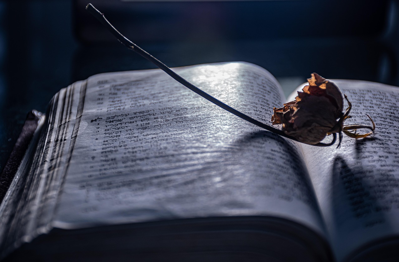 livre ouvert, nostalgie, ambiance, littérature, en train de lire, une bibliothèque, ficelle, ancien, livre papier peint, roman, signet, étagère à livres, couverture du livre, ligne gratuite, chapitre, bookworm, lumière de la connaissance, artsy, contenu, nouvelle page, texte hébreu, raconter des histoires, faire défiler, page texturée, fleur sèche